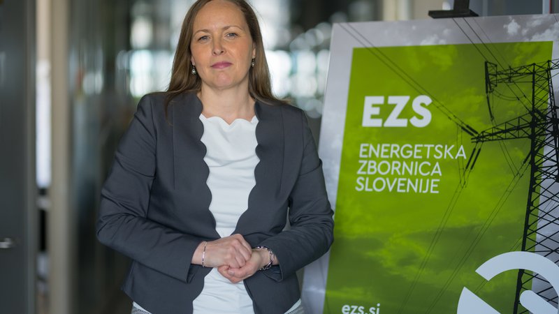 EZS si prizadeva za stabilizacijo delovanja akterjev na področju energetike